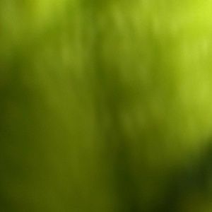 Meet your Posher, Josephine